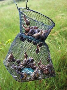 Escargot: A Taste of France Image